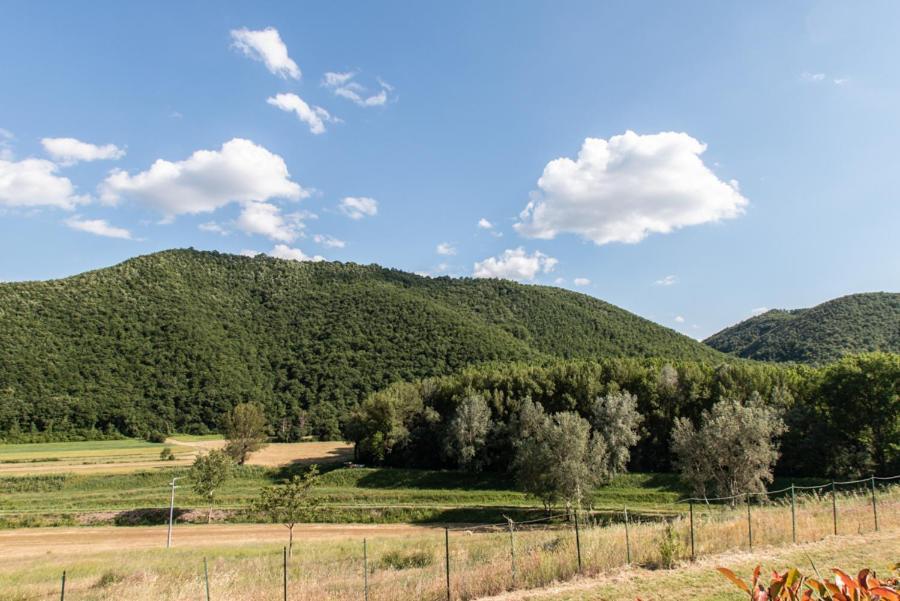 Il Colombaio Agriturismo Montegabbione Εξωτερικό φωτογραφία