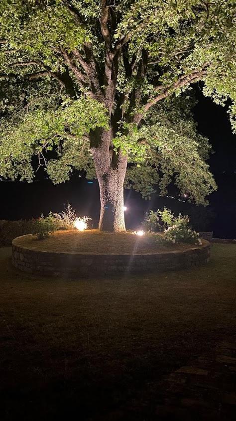 Il Colombaio Agriturismo Montegabbione Εξωτερικό φωτογραφία