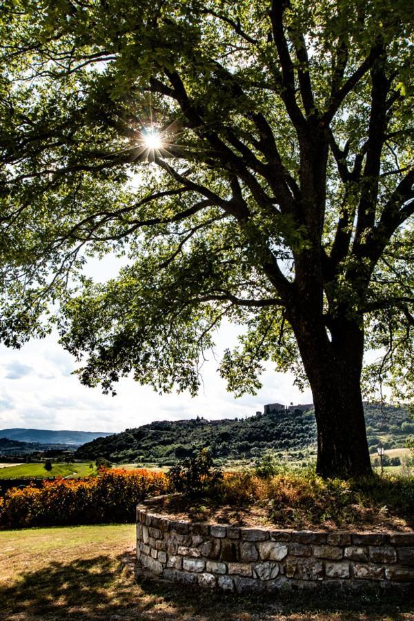 Il Colombaio Agriturismo Montegabbione Εξωτερικό φωτογραφία